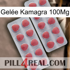 Gelée Kamagra 100Mg 19